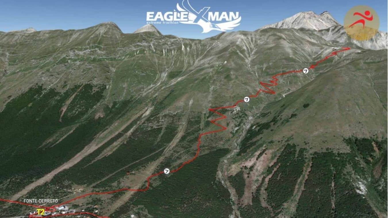 eaglexman